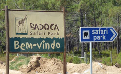 Badoca Safari Park Portugal